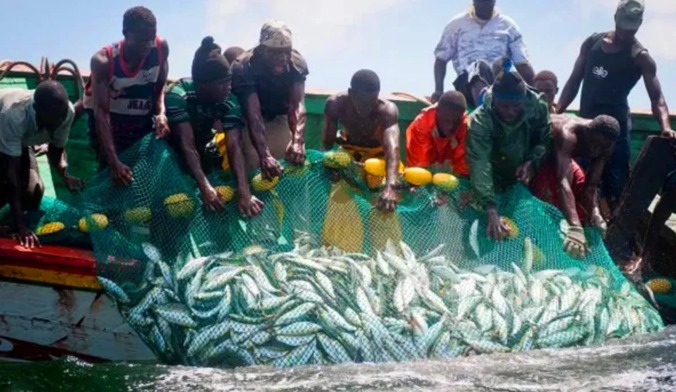 Sustainable fisheries